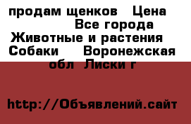 продам щенков › Цена ­ 15 000 - Все города Животные и растения » Собаки   . Воронежская обл.,Лиски г.